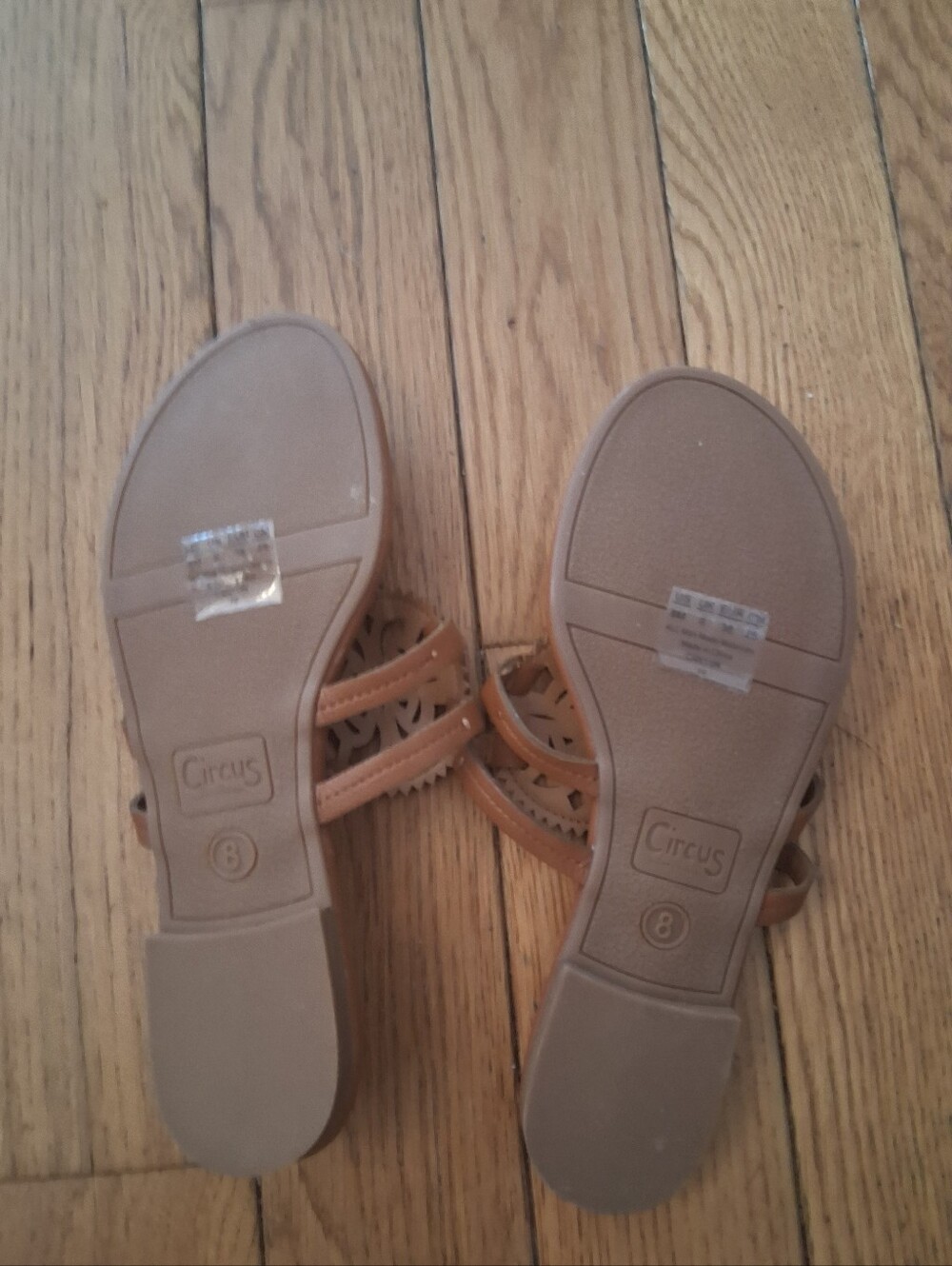 Canyon Brown Cutout Medallion Slide Sandals Circus By Sam Edelman - Picture 2 of 4